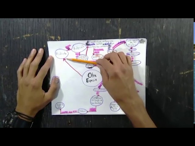 mapas de aprendizaje una herramienta de memorizacion